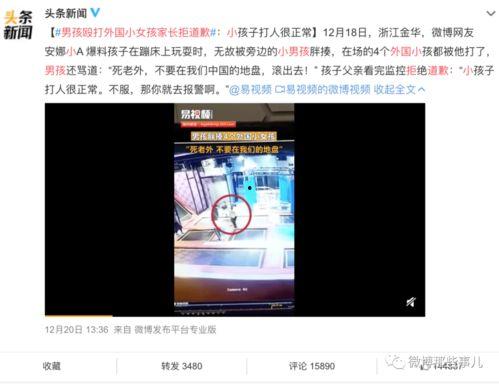 潮汕爆料新闻事件视频大全,聚焦热点事件，揭秘社会真相  第3张